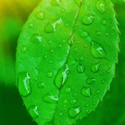 IM体育官方网站入口