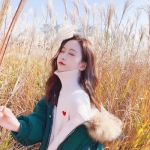 澳门mgm娱乐官网下载手机版